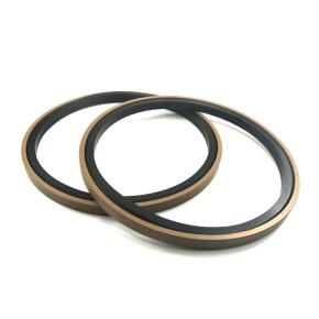 PTFE SPG Piston Seals 