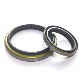 Steel+NBR DKB Dust seals