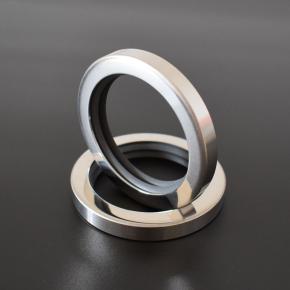 Screw compressor double lip oil seals