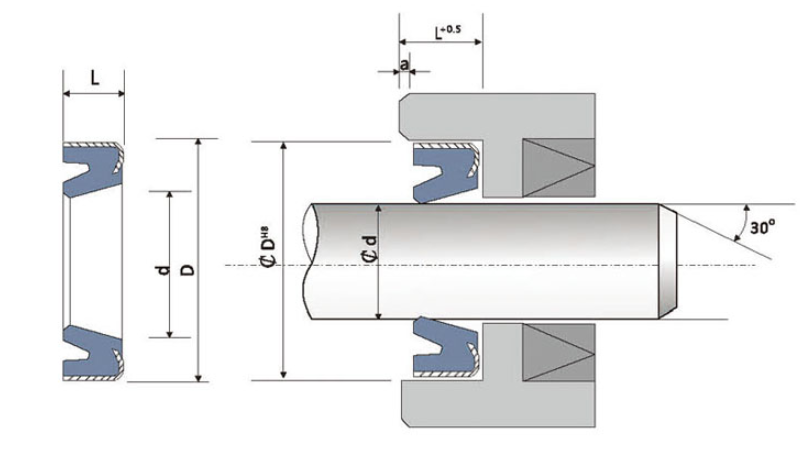 AF Dust Seals.png