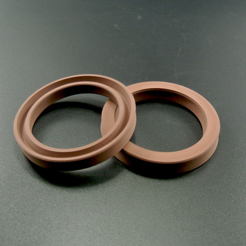 500 ROD SEAL VITON.jpg